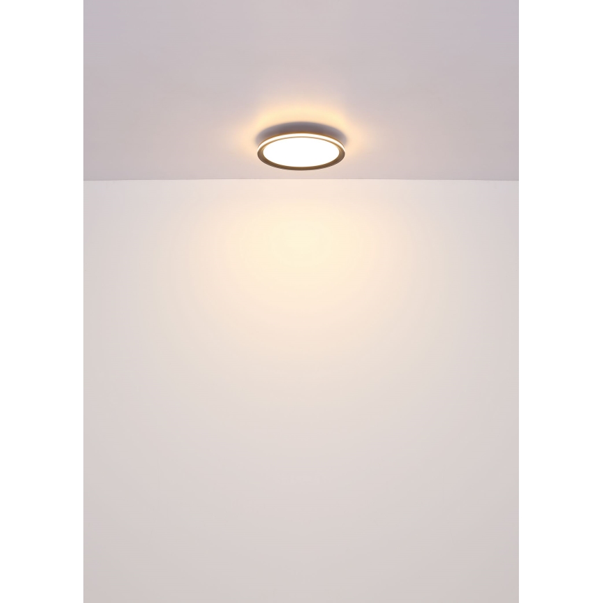 Globo - LED Stropné svietidlo LED/30W/230V pr. 30 cm