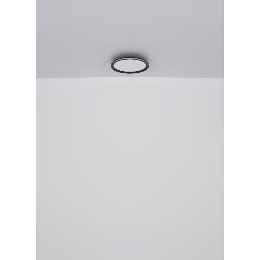 Globo - LED Stropné svietidlo LED/30W/230V pr. 30 cm