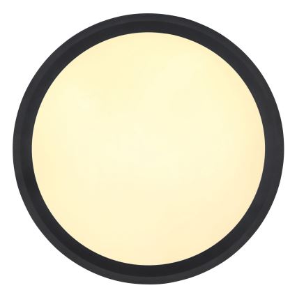 Globo - LED Stropné svietidlo LED/30W/230V pr. 30 cm