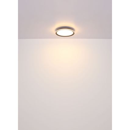 Globo - LED Stropné svietidlo LED/58W/230V pr. 50 cm