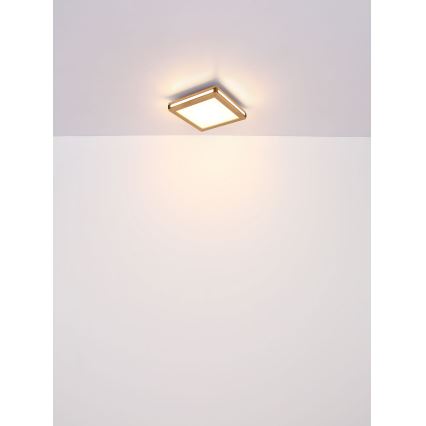 Globo - LED Stropné svietidlo LED/12W/230V 30x30 cm