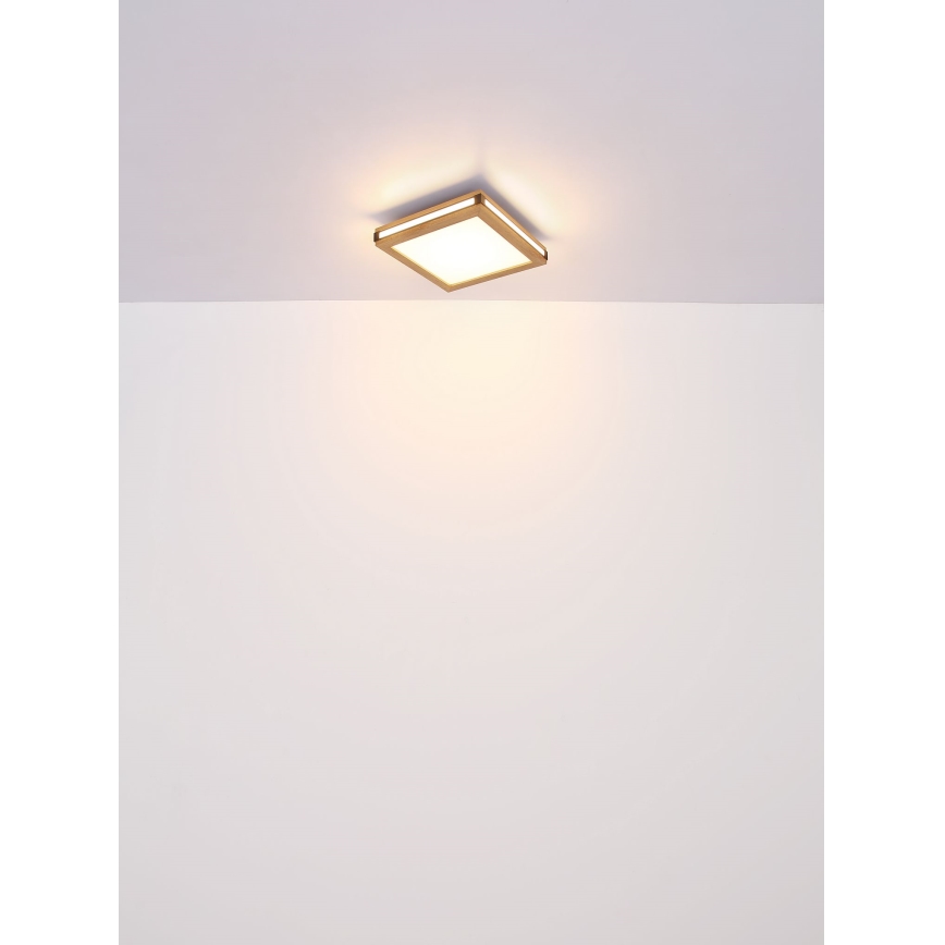 Globo - LED Stropné svietidlo LED/12W/230V 30x30 cm