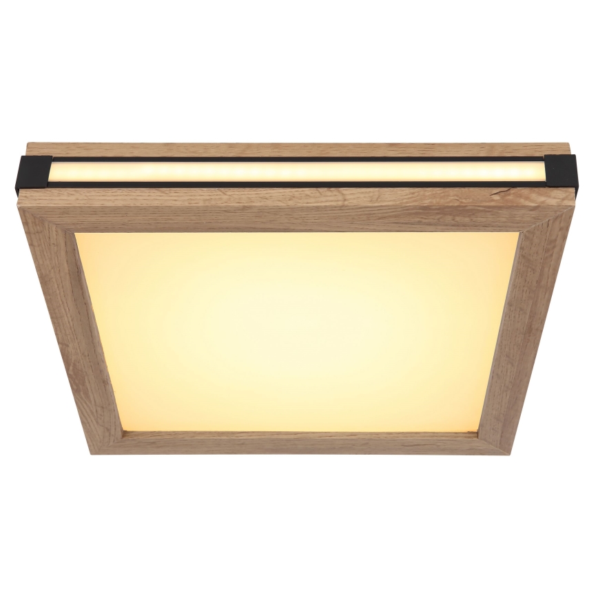 Globo - LED Stropné svietidlo LED/12W/230V 30x30 cm