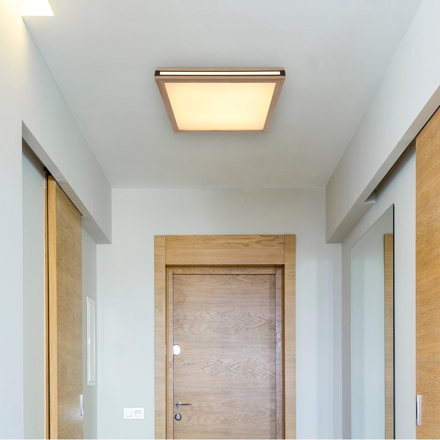 Globo - LED Stropné svietidlo LED/24W/230V 45x45 cm