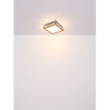 Globo - LED Stropné svietidlo LED/24W/230V 45x45 cm