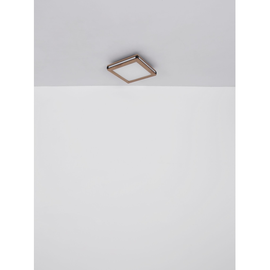 Globo - LED Stropné svietidlo LED/24W/230V 45x45 cm
