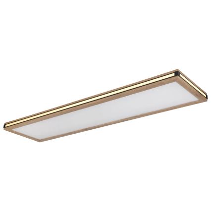 Globo - LED Stmievateľné stropné svietidlo LED/36W/230V 3000K 30x120 cm