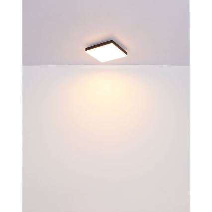 Globo - LED Stropné svietidlo LED/18W/230V 30x30 cm čierna