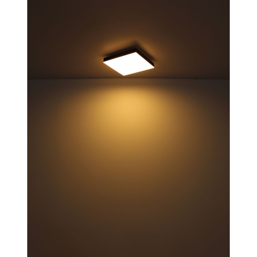 Globo - LED Stmievateľné stropné svietidlo LED/24W/230V 2700-6500K čierna + diaľkové ovládanie