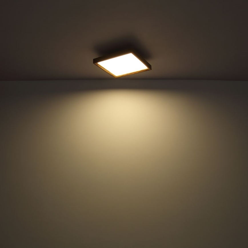Globo - LED Stropné svietidlo LED/24W/230V 45cm 2700/4500/6500K
