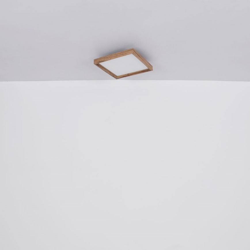 Globo - LED Stropné svietidlo LED/24W/230V 45cm 2700/4500/6500K