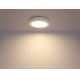Globo - LED Kúpeľňové stropné svietidlo 1xLED/12W/230V