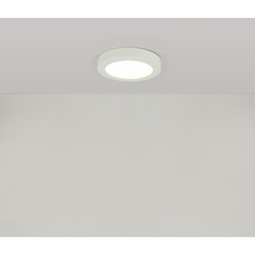 Globo - LED Kúpeľňové stropné svietidlo 1xLED/16W/230V