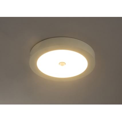 Globo - LED Vonkajšie stropné svietidlo so senzorom 1xLED/18W/230V IP44