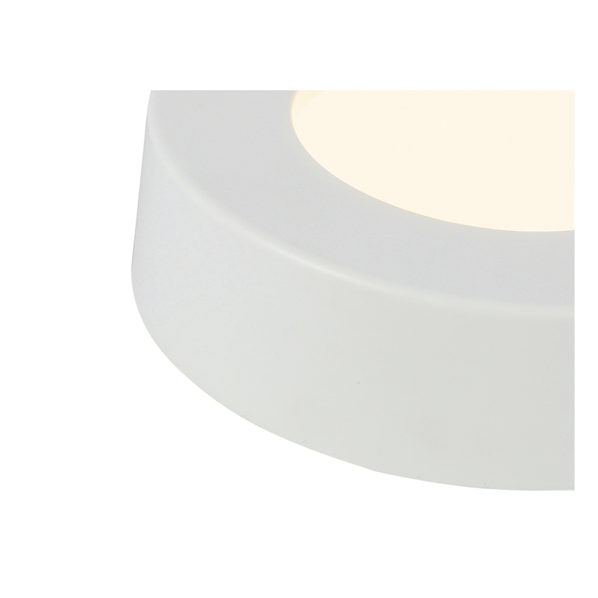 GLOBO - LED Stropné svietidlo LED/6W/230V