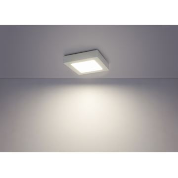 Globo - LED Stropné svietidlo SVENJA 1xLED/18W/230V
