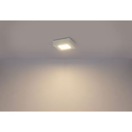 Globo - LED Stropné svietidlo SVENJA 1xLED/9W/230V 3000/4000/6000K