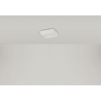 Globo - LED Stropné svietidlo SVENJA 1xLED/9W/230V 3000/4000/6000K