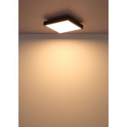 Globo - LED Stropné svietidlo LED/12W/230V 3000K 30x30 cm