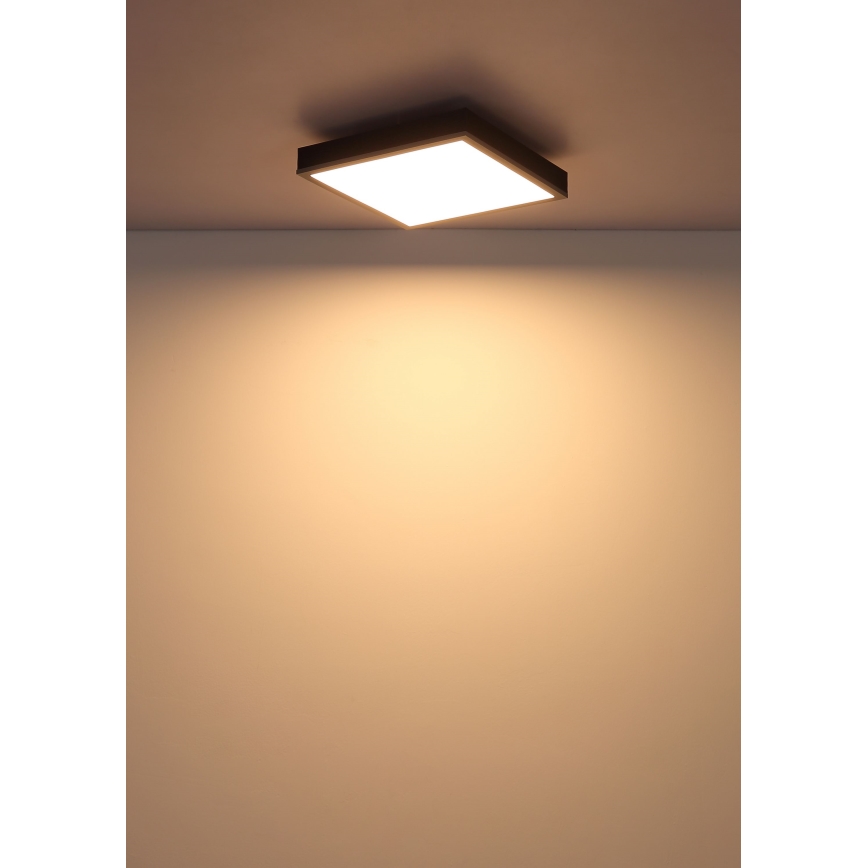 Globo - LED Stropné svietidlo LED/12W/230V 3000K 30x30 cm