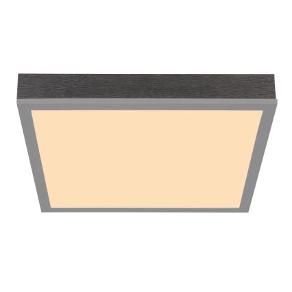 Globo - LED Stropné svietidlo LED/12W/230V 3000K 30x30 cm