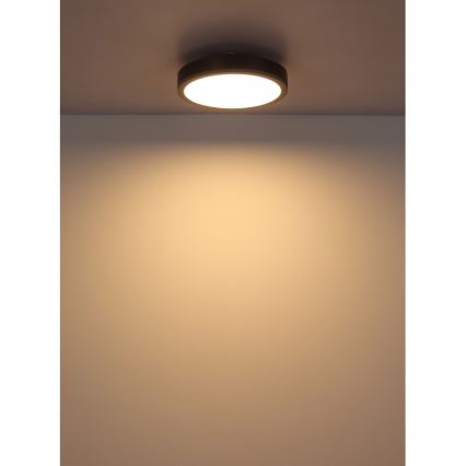 Globo - LED Stropné svietidlo LED/12W/230V 3000K pr. 30 cm