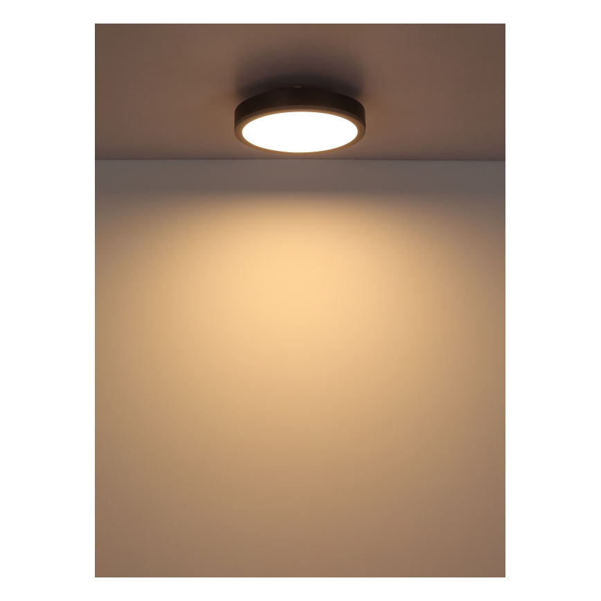 Globo - LED Stropné svietidlo LED/12W/230V 3000K pr. 30 cm