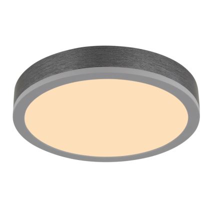 Globo - LED Stropné svietidlo LED/12W/230V 3000K pr. 30 cm