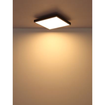 Globo - LED Stropné svietidlo LED/24W/230V 3000K 45x45 cm