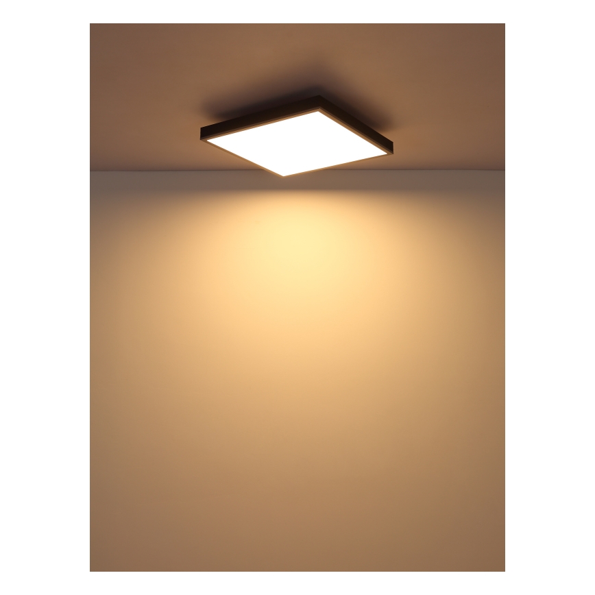 Globo - LED Stropné svietidlo LED/24W/230V 3000K 45x45 cm