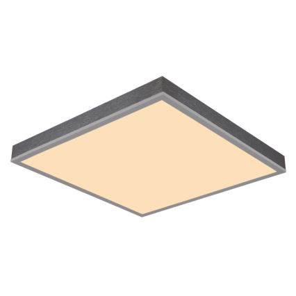Globo - LED Stropné svietidlo LED/24W/230V 3000K 45x45 cm
