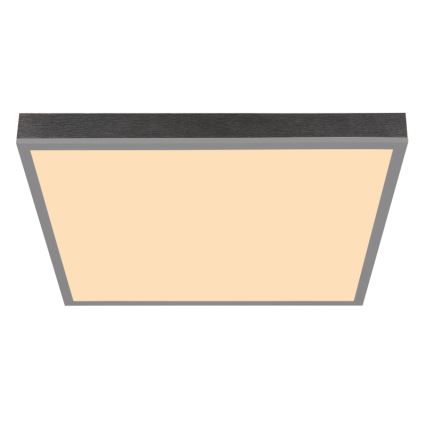 Globo - LED Stropné svietidlo LED/24W/230V 3000K 45x45 cm