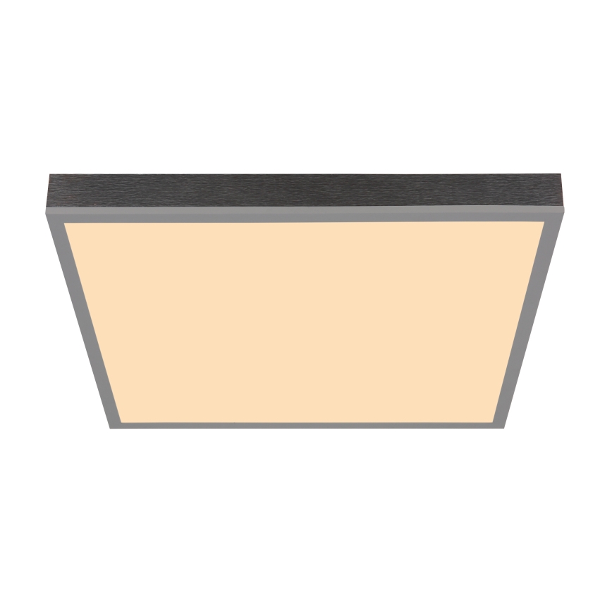 Globo - LED Stropné svietidlo LED/24W/230V 3000K 45x45 cm