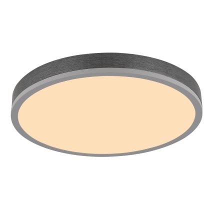 Globo - LED Stropné svietidlo LED/24W/230V 3000K pr. 45 cm