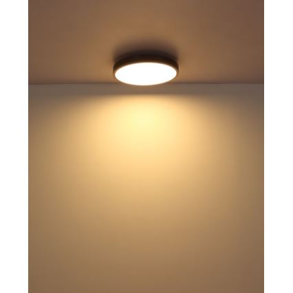 Globo - LED Stropné svietidlo LED/24W/230V 3000K pr. 45 cm