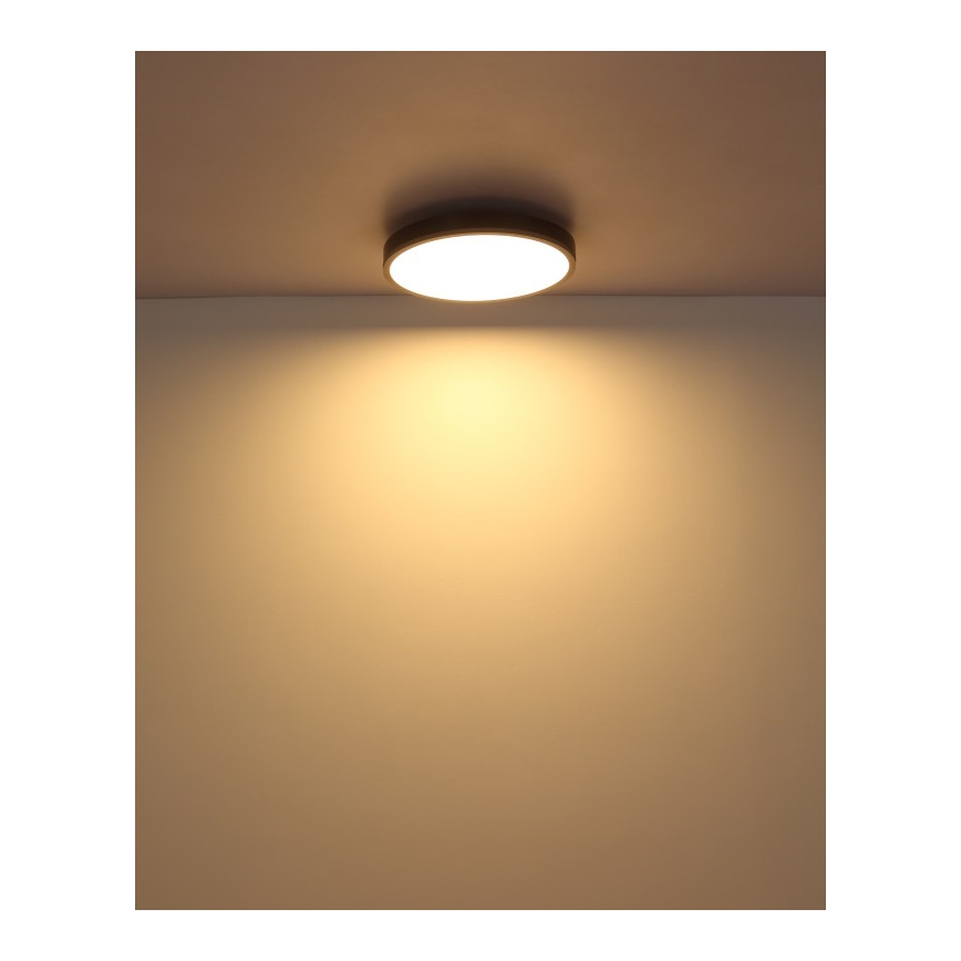 Globo - LED Stropné svietidlo LED/24W/230V 3000K pr. 45 cm
