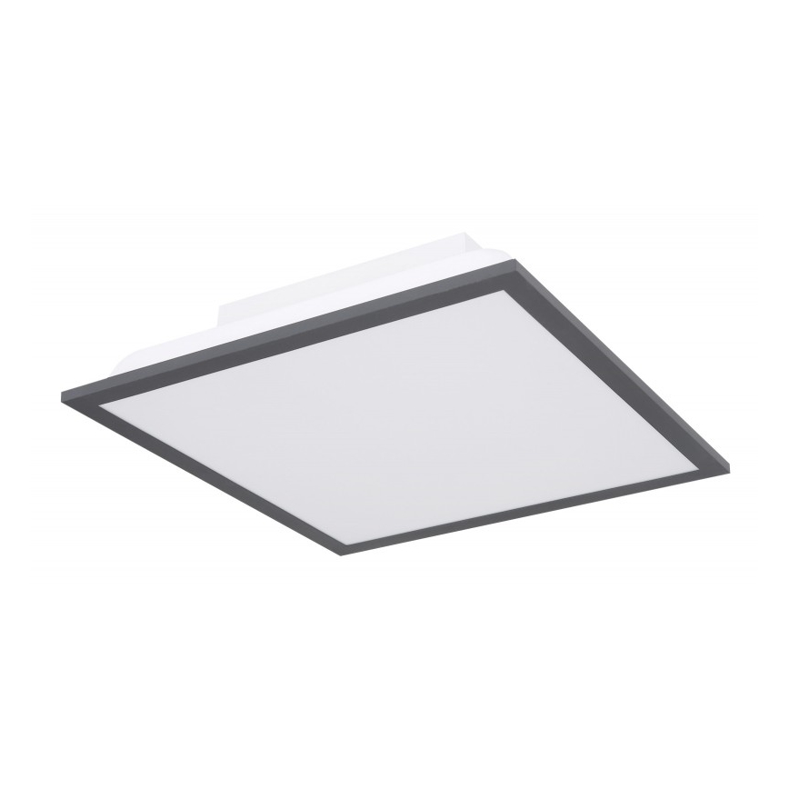 Globo - LED Stropné svietidlo LED/12W + LED/4W/230V