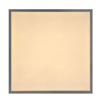 Globo - LED Stropné svietidlo LED/24W/230V