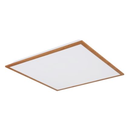 Globo - LED Stropné svietidlo LED/24W/230V