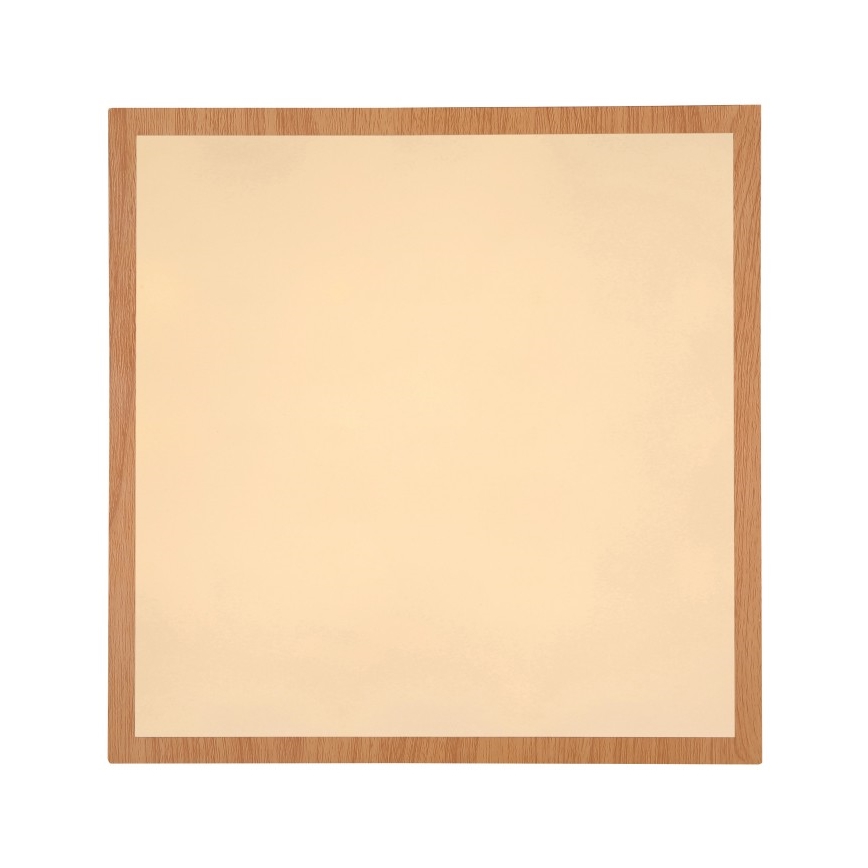 Globo - LED Stropné svietidlo LED/24W/230V