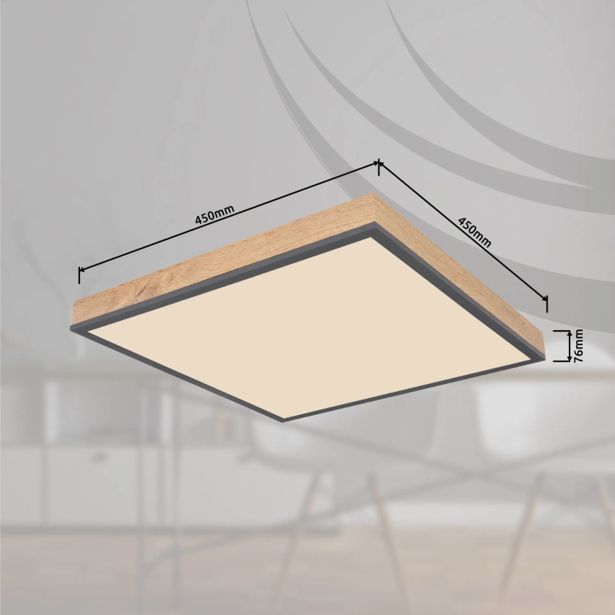 Globo - LED Stmievateľné stropné svietidlo LED/24W/230V 3000-6500K 45x45 cm