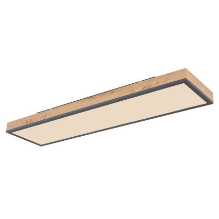 Globo - LED Stmievateľné stropné svietidlo LED/24W/230V 2700-6500K + diaľkové ovládanie