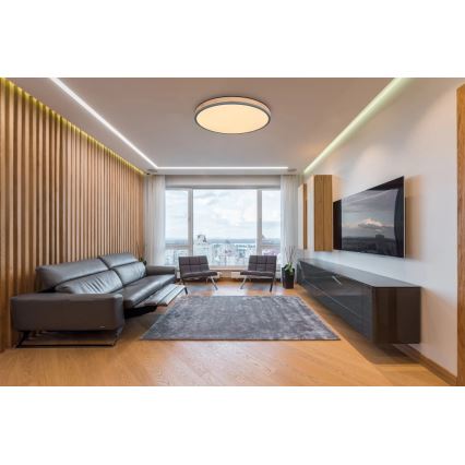 Globo - LED Stmievateľné stropné svietidlo LED/40W/230V 2700-6500K pr. 60 cm + diaľkové ovládanie hnedá/šedá