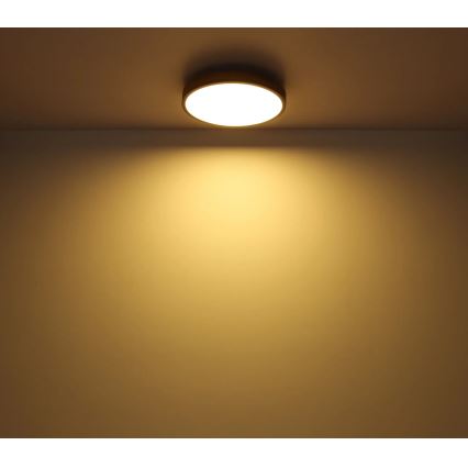 Globo - LED Stmievateľné stropné svietidlo LED/40W/230V 2700-6500K pr. 60 cm + diaľkové ovládanie hnedá/šedá