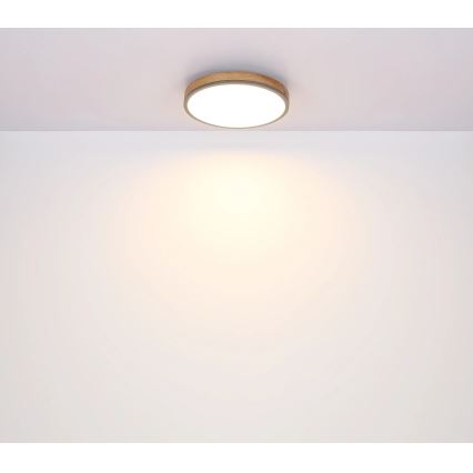 Globo - LED Stmievateľné stropné svietidlo LED/40W/230V 2700-6500K pr. 60 cm + diaľkové ovládanie hnedá/šedá