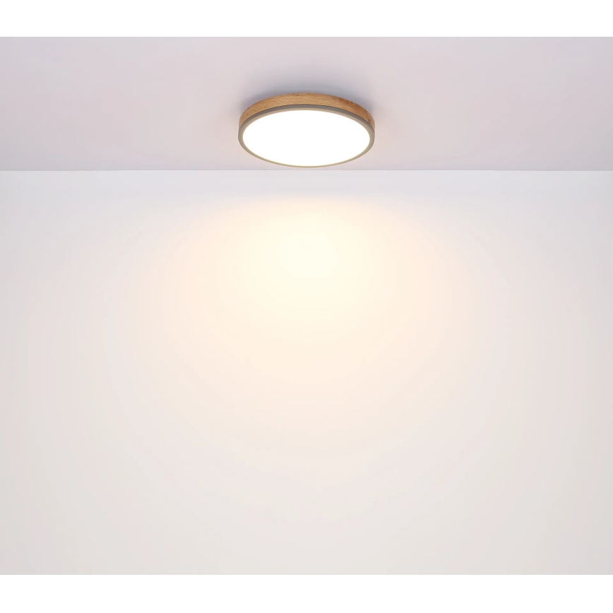 Globo - LED Stmievateľné stropné svietidlo LED/40W/230V 2700-6500K pr. 60 cm + diaľkové ovládanie hnedá/šedá