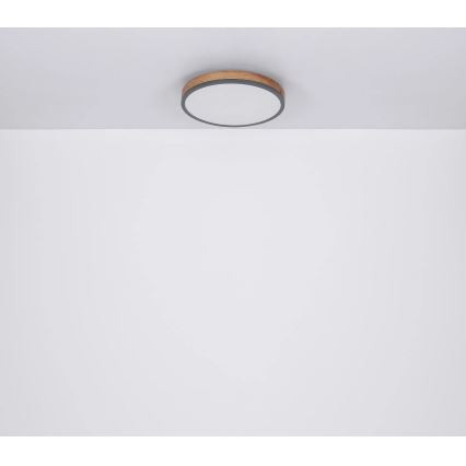 Globo - LED Stmievateľné stropné svietidlo LED/40W/230V 2700-6500K pr. 60 cm + diaľkové ovládanie hnedá/šedá