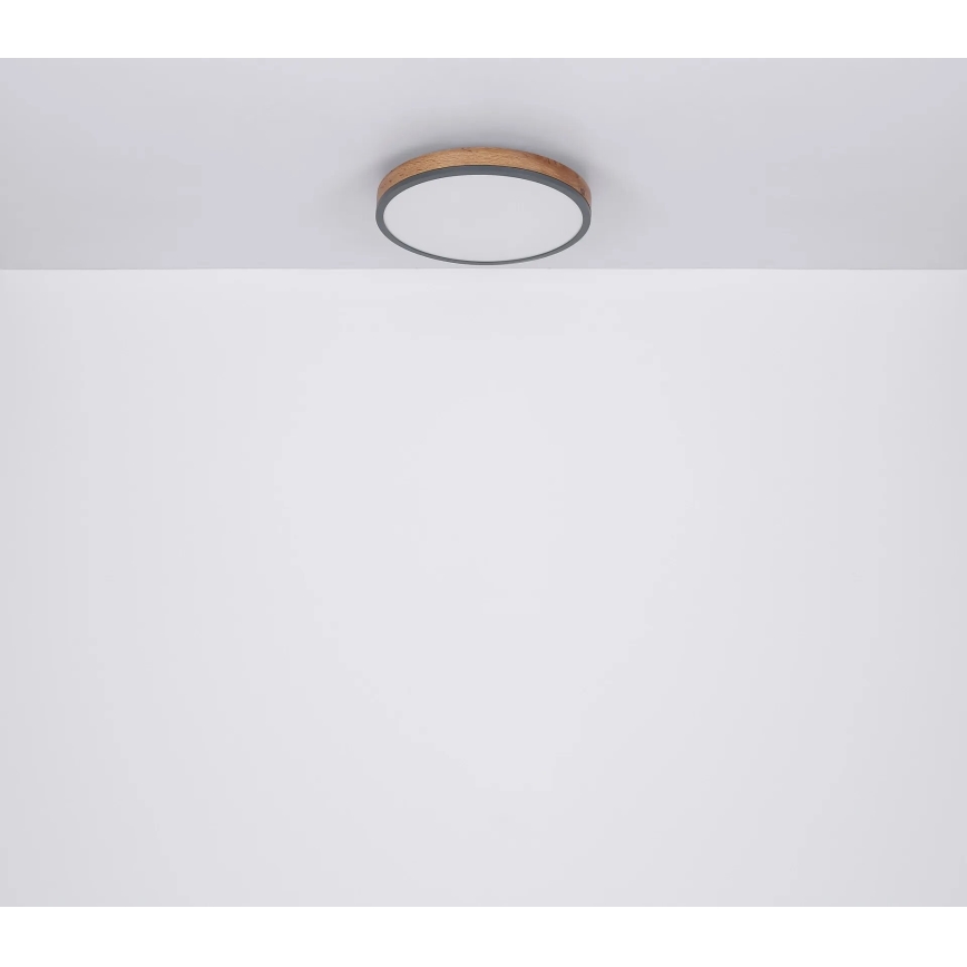 Globo - LED Stmievateľné stropné svietidlo LED/40W/230V 2700-6500K pr. 60 cm + diaľkové ovládanie hnedá/šedá