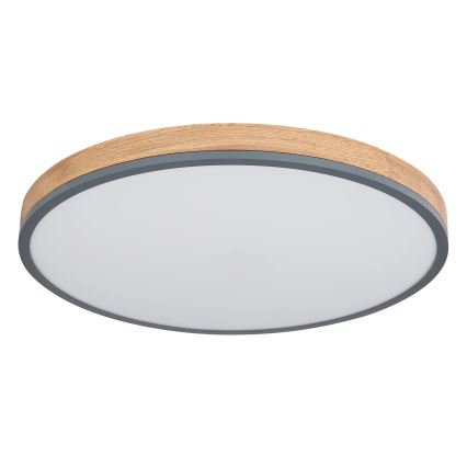 Globo - LED Stmievateľné stropné svietidlo LED/40W/230V 2700-6500K pr. 60 cm + diaľkové ovládanie hnedá/šedá