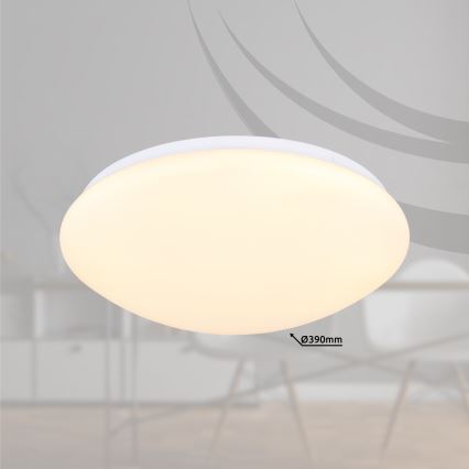 Globo - LED Stropné svietidlo LED/18W/230V